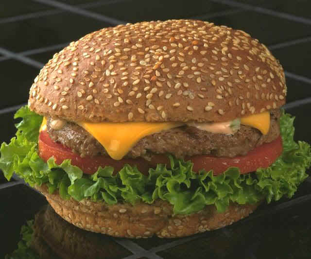 http://erinmorgan.files.wordpress.com/2010/01/hamburger.jpg